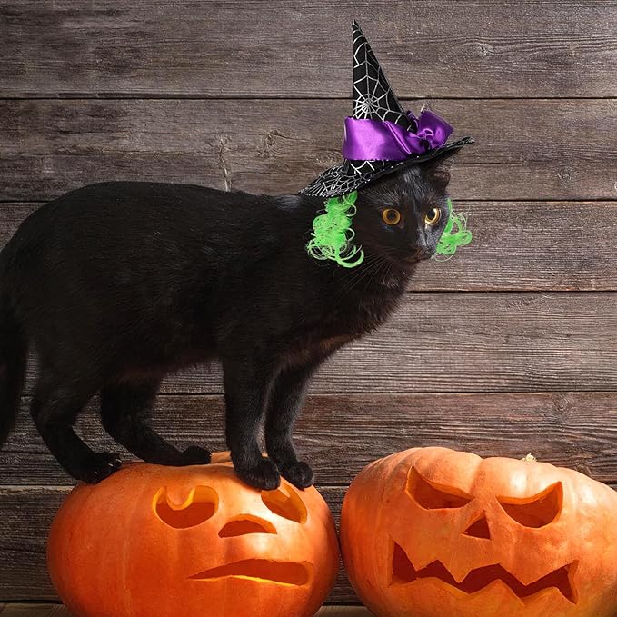 Halloween Witch Hat for Pet Cat Small Dog Puppy - Cat Witch Hat with Funny Wig - Black Polyester Cosplay Decor, Party Costume Accessory