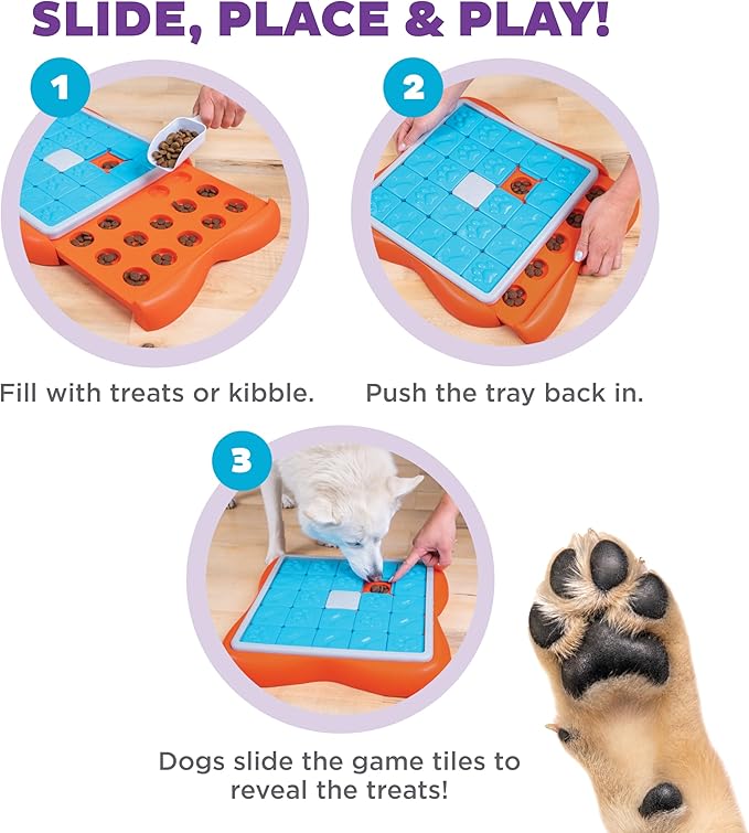 Outward Hound Nina Ottosson Challenge Slider Interactive Treat Puzzle Dog Enrichment Toy, Level 3 Advanced, Multicolored