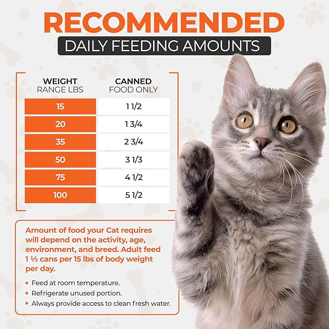 Scoochie Pet Products Chef Scoochie's Tender Seafood Chunks in Gravy Wet Cat Food - Easy Open Pop-Top Cans - Protein & Essential Nutrients - Gourmet Meal for Indoor & Outdoor Cats 12 Cans (14 oz e.)