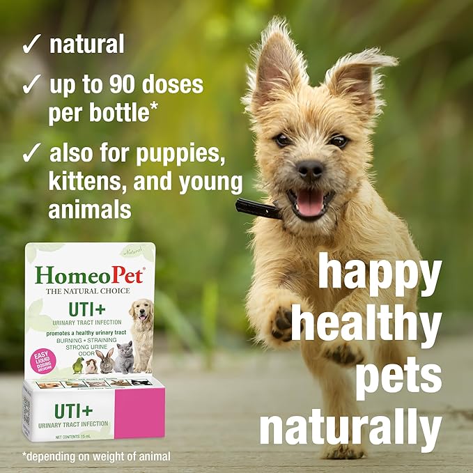 HomeoPet UTI Plus Urinary Tract Relief, Safe and Natural Dog and Cat UTI Supplement, 15 Milliliters