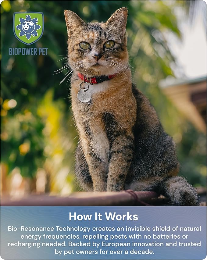 Natural Flea & Tick Repellent Collar Tag for Dogs & Cats – BioPower Pet Shield – Safe for Pets When Used as Directed – Lasts 1 Full Year - Regular Tag (3Pack)