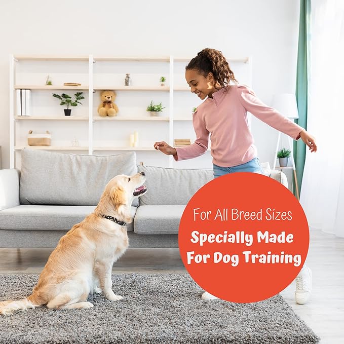 Premium 1lb Dog Jerky Treats | Dog Training | Dog Walking | Natural Grillers | Healthy Smoked Beef Chicken Salmon Chews Snacks Salmon Blueberry Nugget