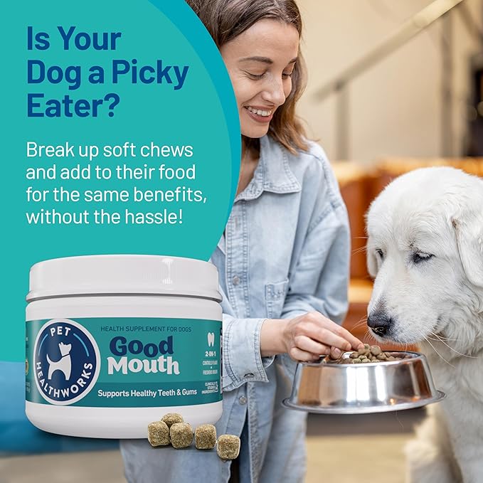 Good Mouth Dental Chews for Dogs – Controls Plaque & Tartar, Promotes Fresh Breath, Supports Gum & Oral Health – Clinically Studied, Cheeseburger Flavor, No Mess, 60 Soft Chews