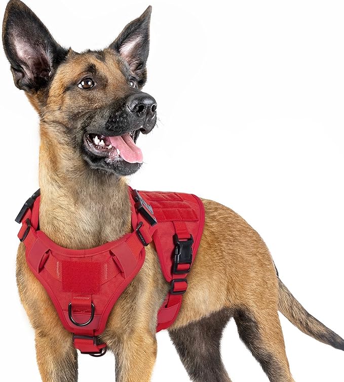rabbitgoo Tactical Dog Harness for Small, Heavy Duty Pet Harness with Handle, No-Pull Service Vest Small Breed, Adjustable Military Dog Vest for Training Hunting Walking, Red, S