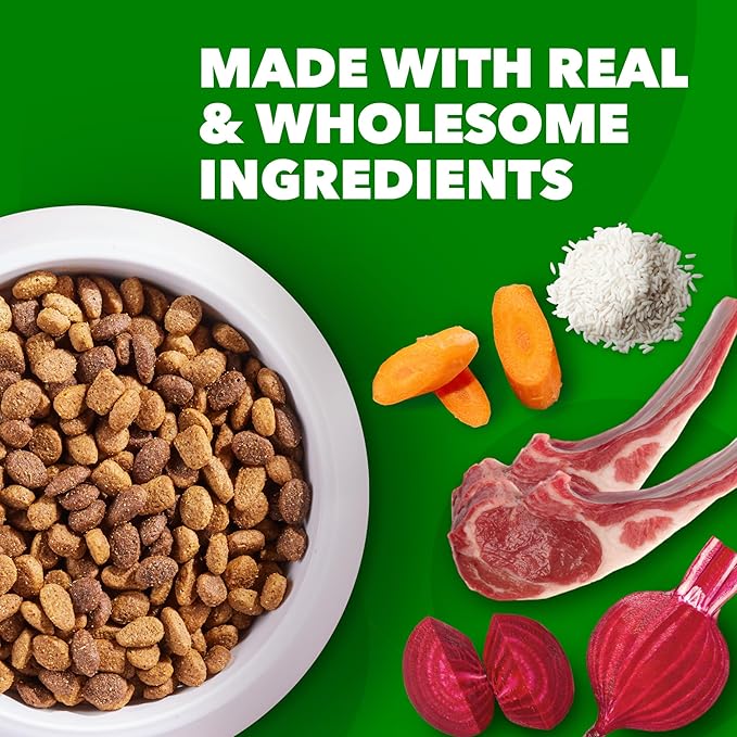 IAMS Proactive Health Minichunks Adult Dry Dog Food with Lamb & Rice, 15 lb. Bag