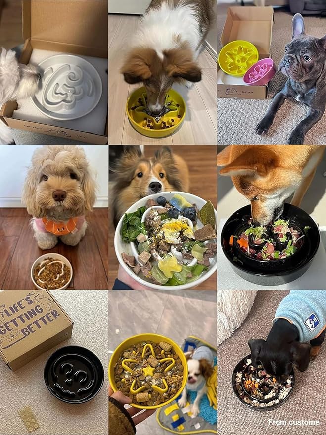 LE TAUCI Ceramic Slow Feeder Dog Bowls Elevated, 0.6 Cups Raised Dog Bowl with Wooden Stand for Small Breed, Pet Dishes to Slow Down Eating, Puzzle Cat Food Bowl, Star Yellow