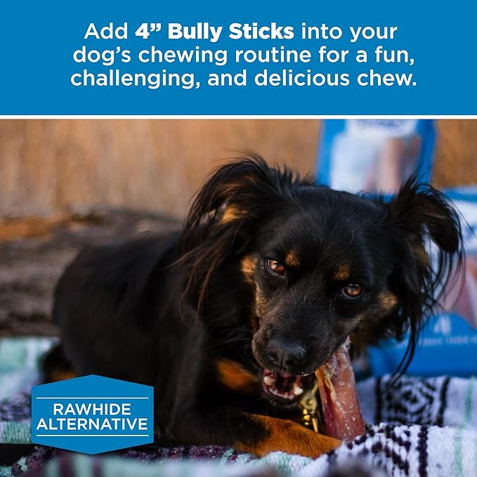 Best Bully Sticks 4 Inch Bully Sticks - 8 oz (Pack of 1) - Natural Grass-Fed, Grain and Rawhide Free, Ideal for Small or Young Canines