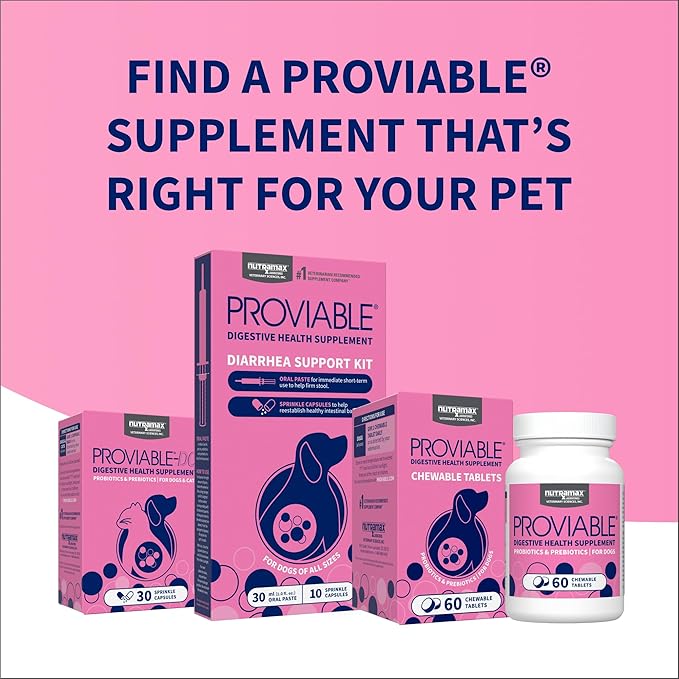 Nutramax Proviable Probiotics for Dogs, Daily Digestive Health Supplement with Multiple Strains of Bacteria, Dog Probiotics Plus Prebiotics, 60 Chewable Tablets