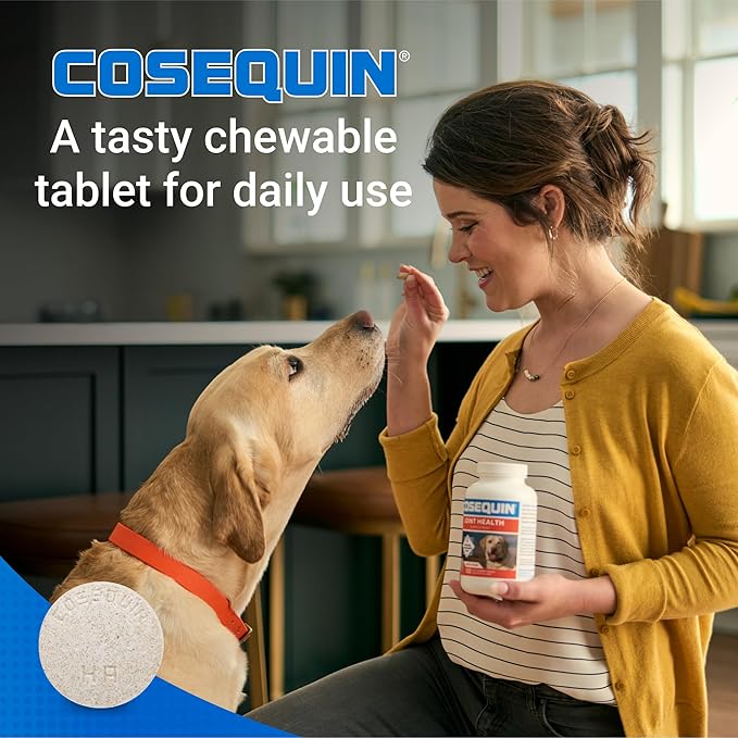 Nutramax Cosequin for Dogs Joint Health Supplement, Contains Glucosamine for Dogs, Plus Chondroitin, MSM and HA, Supports Healthy Joints, Chewable Tablets, 75 Count