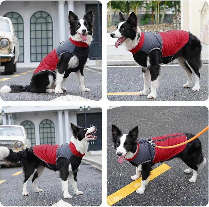 Warm Fleece Dog Coats for Small Dogs,D-Rings Waterproof Puppy Jacket for Cold Winter,Red S