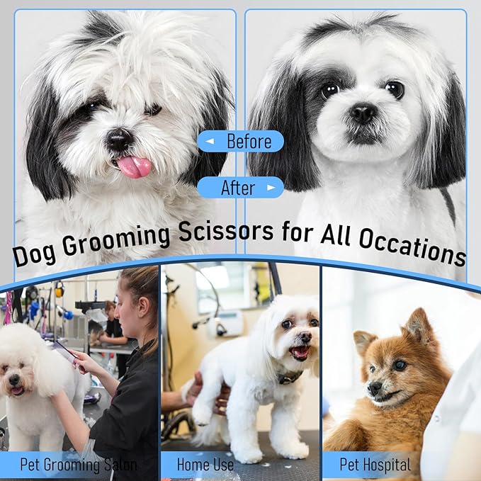 Purple Dragon Dog Grooming Scissors Set - Chunkers, Straight, Up & Down Curved Scissors and Comb, 7 Inch Black Shears with Adjustable Screw for Dogs and Cats