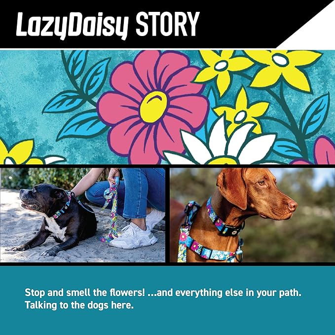 Wolfgang Heavy Duty Adjustable Dog Harness, Pull-Tested to Over 800 lbs for Walking & Training, LazyDaisy Print, X-Large