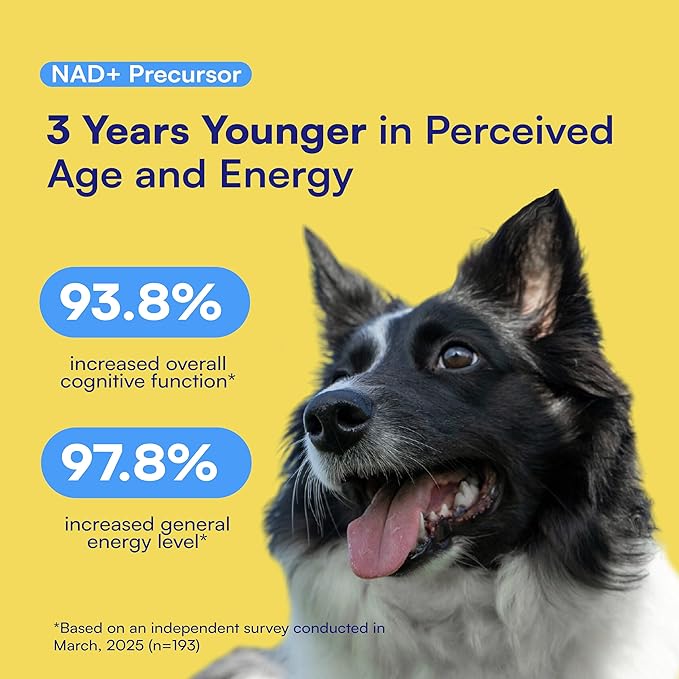 NAD+ Precursor & Senior Dog Supplement - 90 Soft Chews & Vitamins - NMN Alternative for Longevity, Anti-Aging & Energy - Nicotinamide Riboside, Resveratrol, Quercetin, Made with Pasture-Raised Chicken