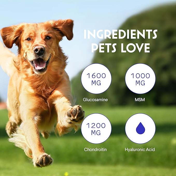 WONDER PAWS Premium Liquid Glucosamine for Dogs Strength Joint Support, Flexibility, Cartilage & Mobility - Hip and Joint Supplement with Chondroitin, MSM, Collagen & Hyaluronic Acid (32 Oz)