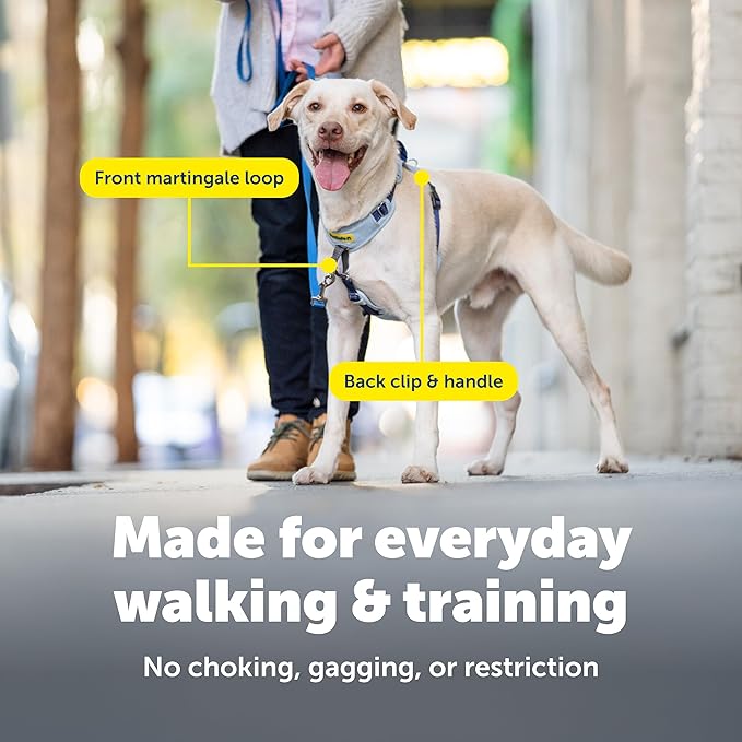 PetSafe Easy Walk Comfort No-Pull Dog Harness - Better Walk Training Harness - Full Body Padded Design - Durable Fabric - 5 Point Adjustable Fit - Everyday Leash Training - Pink - Large