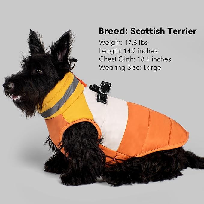 azuza Dog Jacket for Medium Dogs Waterproof Dog Coat with Reflective Strips and Harness Built in Warm Fleece Dogs Winter Coat Windproof with Back Zipper, Orange XL