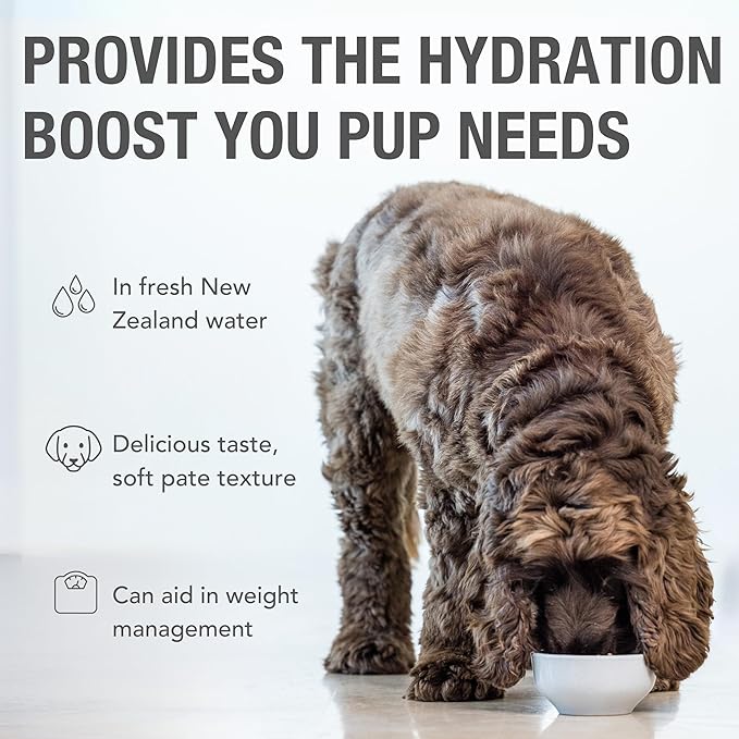 K9 Natural Wet Dog Food Pate, Lamb & King Salmon Feast, 6 Oz Cans (Pack of 12), Grain Free, Made in New Zealand with Grass-Fed, Free-Range Lamb and Sustainably Caught King Salmon