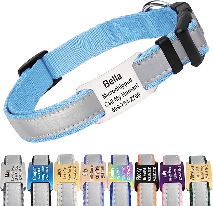 GoTags Reflective Personalized Dog Collar with Nameplate, Adjustable Dog Collar with Custom Engraved Steel Slide On Pet ID Tag, Silent, No Noise Dog Tag for Large Medium or Small (Light Blue, Small)