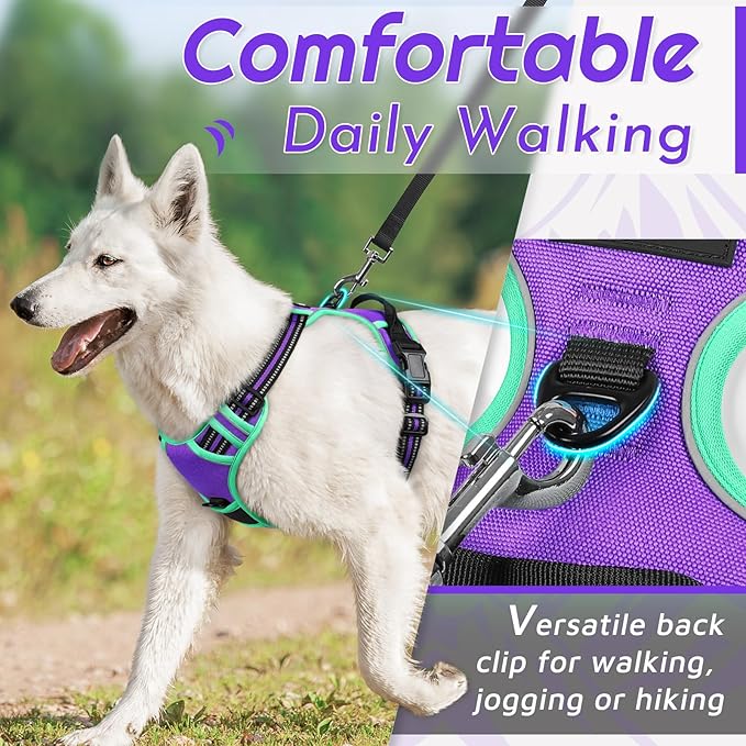 Eagloo Dog Harness for Large Dogs, No Pull Service Vest with Reflective Strips and Control Handle, Adjustable and Comfortable for Walking, No Choke Pet Harness with 2 Metal Rings, Purple & Green, XL