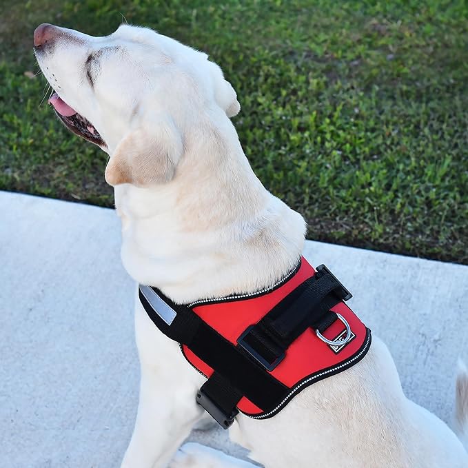 Dogline Dog Harness, Reflective No-Pull Adjustable Vest with Handle for Walking, Training, Service Breathable No - Choke Harness for Small, Medium or Large Dogs Room for Patches Girth 33"-46" in Red