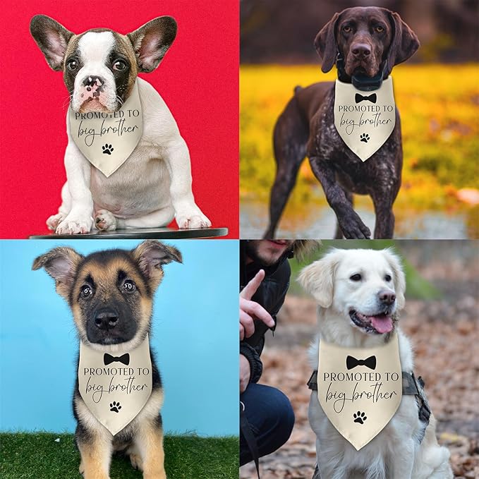 Promoted to Big Brother Baby Announcement Dog Bandana Gender Reveal Gift Pregnancy Announcement Photo Prop for Dog Lover Pet Scarf Accessories for Small Medium Large Dog