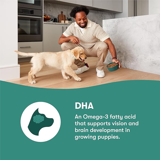 Jinx Premium Dry Dog Food, Puppy - Real Chicken, Brown Rice & Sweet Potato Kibble for Puppies with DHA, Protein & Calcium for Brain Health - Probiotics for Digestive Support - No Fillers - 4lb