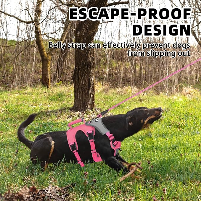 PUPTECK Escape Proof Dog Harness and Leash Set Upgraded No Pull Reflective Dog Vest with Lift Handle, Easy Control Pet Harness for Medium Large Dogs Training Walking Running, Fuchsia, M