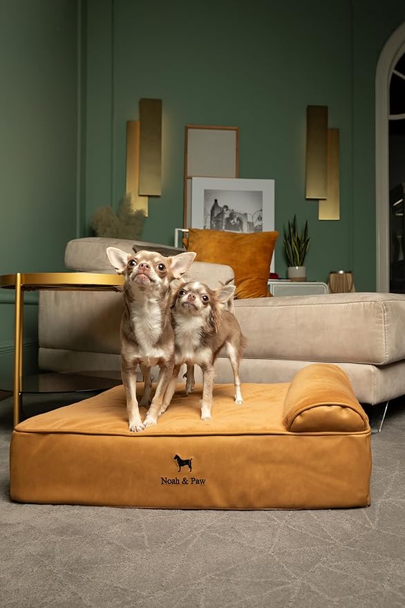 NOAH & PAW Dog Bed, 28x23x7.5 Inch, Orthopedic Dog Beds for Medium Size Pets, Eggshell Memory Foam Infused with Cooling Gel, Waterproof, Machine Washable, Includes Inner Cover (Faux Leather)