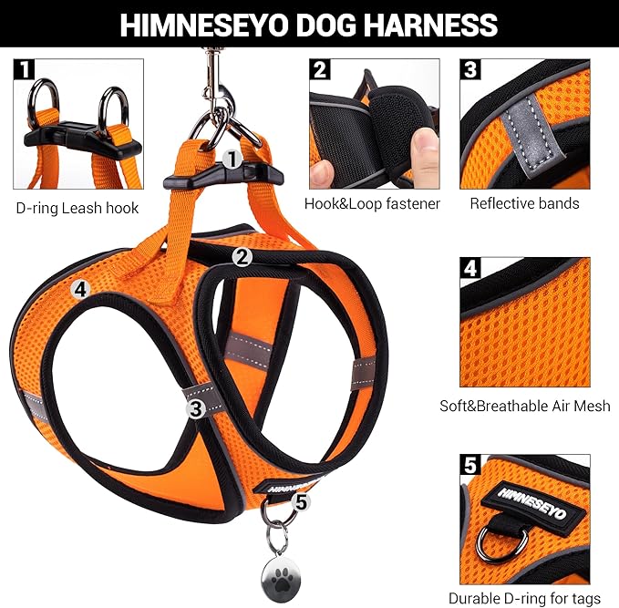 Dog Harness and Leash Set, Dog Harness for Dogs No Pull, No-Chock Step-in Reflective Breathable Lightweight Easy Walk Vest Harnesses with Safety Buckle for Small Medium Dogs, Cats (Orange, XL)