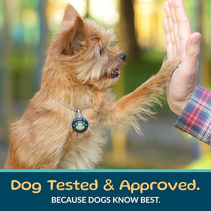 Beef Lung Nuggies Dog Treats, 1 LB Bag - All-Natural, Sustainable, Healthy, High Protein, Hand-Trimmed, Slow-Roasted, Made in The USA, Nutritious, No Additives, No Fillers