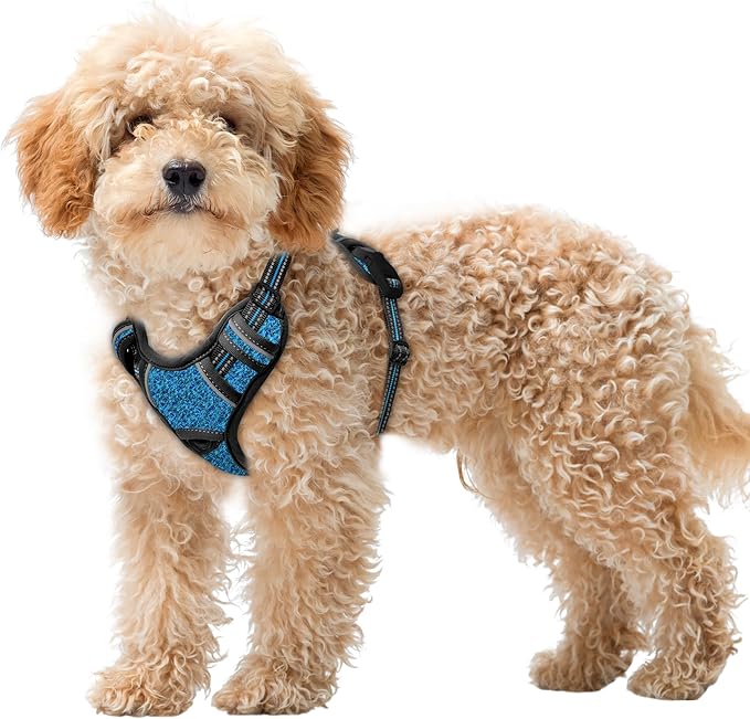 BARKBAY No Pull Dog Harness Large Reflective Dog Harness with Front Clip and Easy Control Handle for Walking Training Running with ID tag Pocket(Blue/Black,XS)