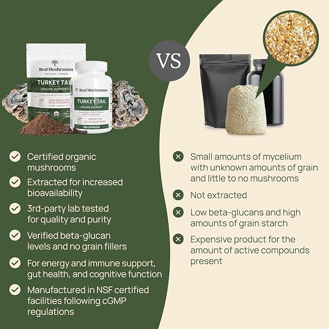 Real Mushrooms Turkey Tail Mushroom Powder – Organic Mushroom Extract for Daily Wellness Gut Harmony, & Energy Support with Beta Glucans – Vegan, Non-GMO, 45 Servings Functional Supplement