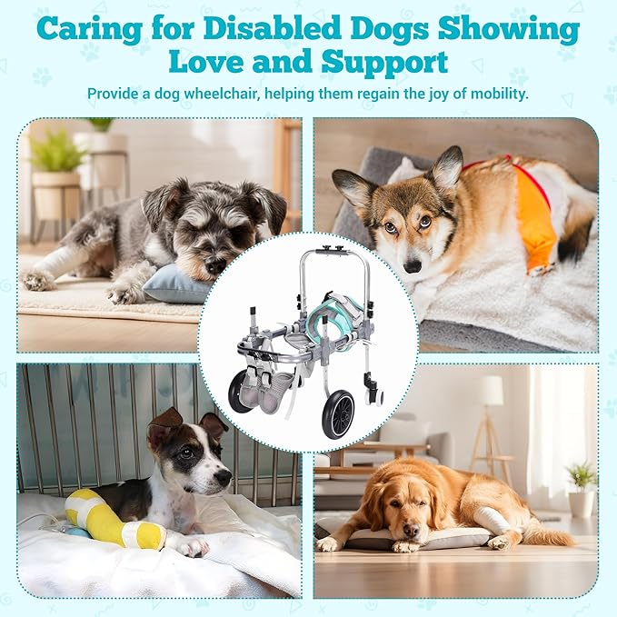 Dog Wheelchair for Back Legs，Adjustable Pets Cart Mobility Aids for Little Pets,Chest & Thigh Support,Suitable Small Medium Dogs (Two Rounds, L)
