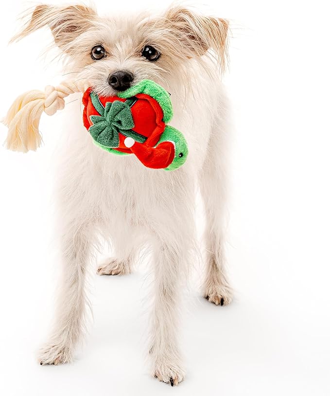 Dog Toys | Holiday Plush Toy Bundle - Walrus, Hare, Turtle Stuffed Animal for Dogs (Value 3-Pack) | Small Eco Friendly Toy - Easy to Clean and Made from Non Toxic Materials