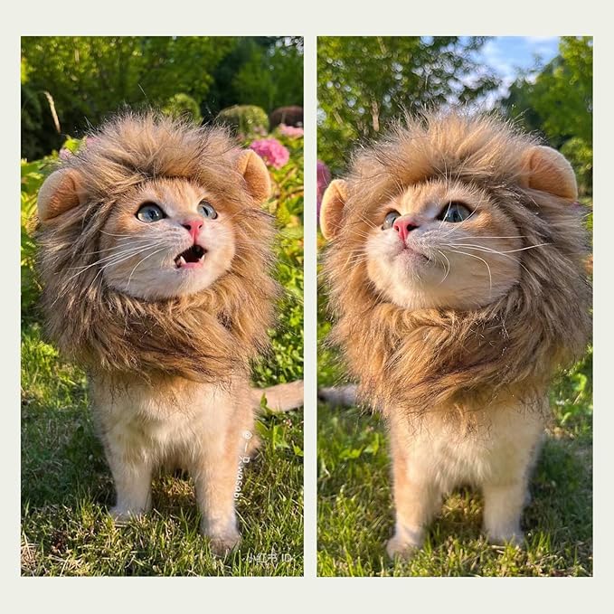 Cat Wig Funny Cute Cat Costume Hat Lion Mane Accessories Dress Up Clothing Festival Party (Brown, Large)
