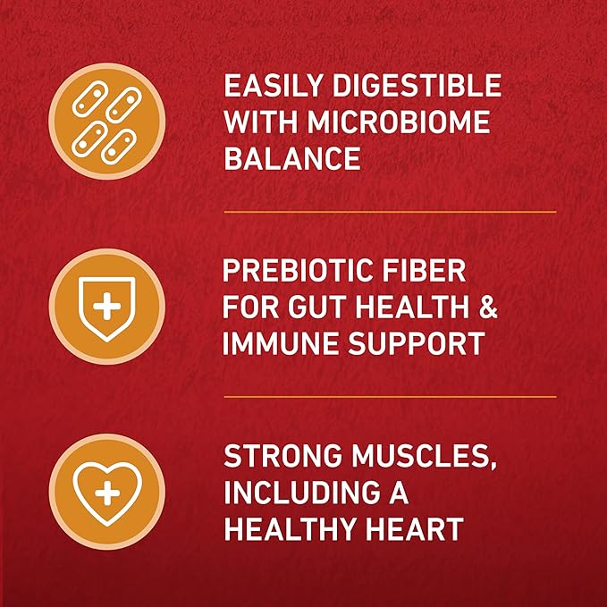 Purina ONE Chicken and Rice Formula Dry Dog Food - 16.5 lb. Bag