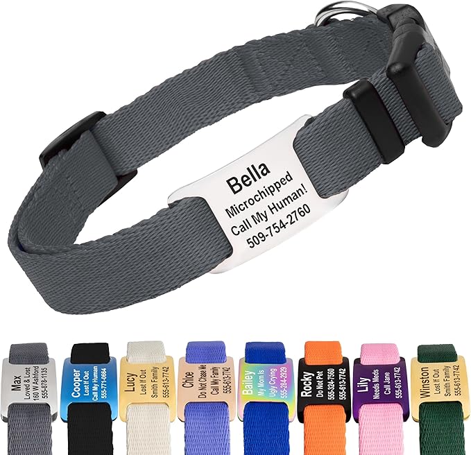 GoTags Personalized Dog Collar with Nameplate, Adjustable Dog Collar with Custom Engraved Slide On Pet ID Tag in Stainless Steel, Silent, No Noise Dog Tag (Charcoal, X-Small)
