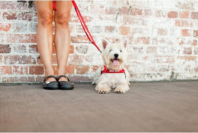 EzyDog Soft Trainer Dog Leash with Traffic Control Handle - Reflective Stitching for Nighttime Safety and Superior Strength and Comfortability for Training Small Dogs (Under 26 lbs) (72”, Denim)