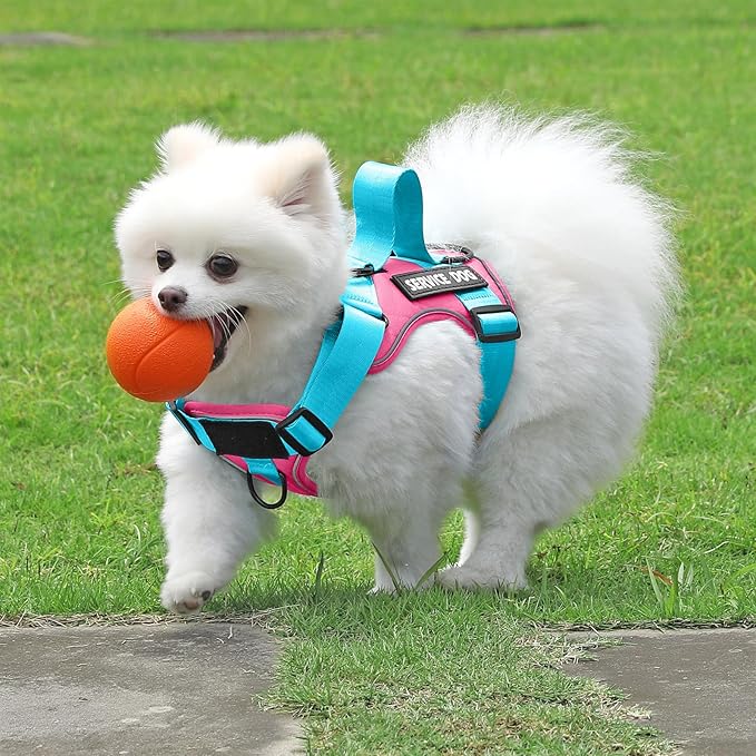 Demigreat Service Dog Harness, Reflective Dog Vest Harness with 5 PCS Patches, Adjustable Soft Oxford Pet Harness, Inner Layer Mesh, Easy to Control for Small Medium Large Dogs