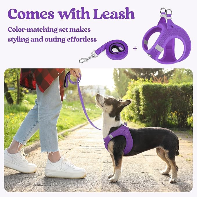 rabbitgoo Dog Harness Small Sized and Leash Set, Step in Soft Light Puppy Vest, Breathable Mesh Pet Harness, Reflective for Outdoor Safe Walking, Purple XXL