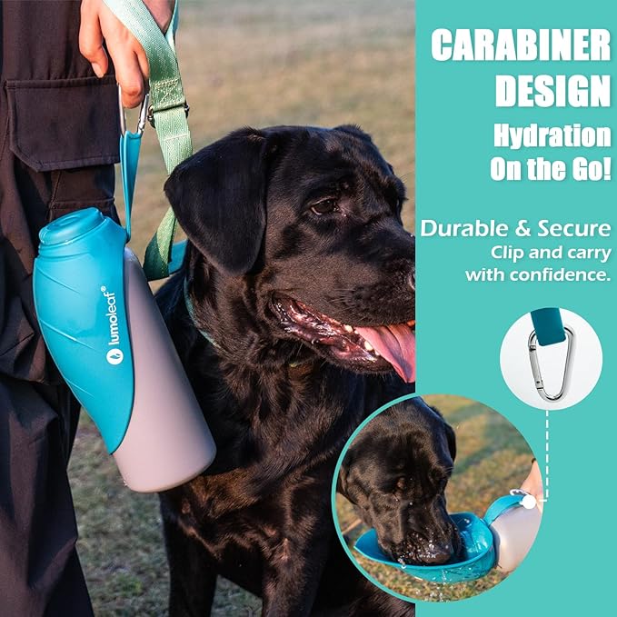 LumoLeaf Insulated Dog Water Bottle 27 oz Stainless Steel - Keep Water Cool or Warm, Portable Pet Water Bowl for Travel, Wide Mouth for Easy Ice Filling & Cleaning