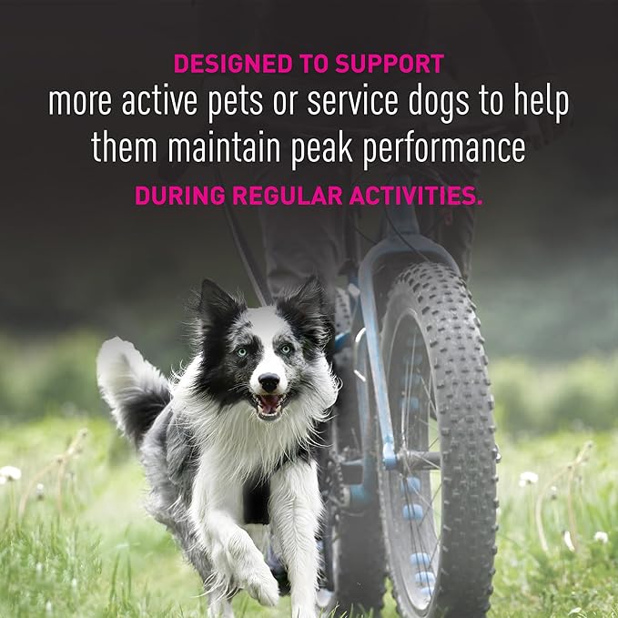 EUKANUBA Adult Premium Performance 26/16 Exercise Small Bites Dry Dog Food, 28 lbs.