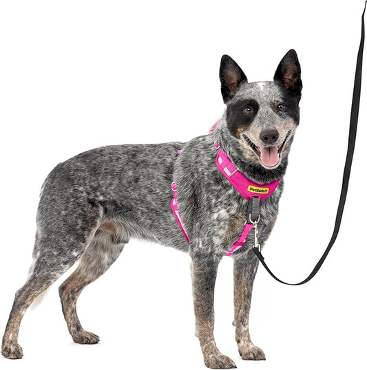 PetSafe Easy Walk Comfort No-Pull Dog Harness - Better Walk Training Harness - Full Body Padded Design - Durable Fabric - 5 Point Adjustable Fit - Everyday Leash Training - Pink - Medium/Large