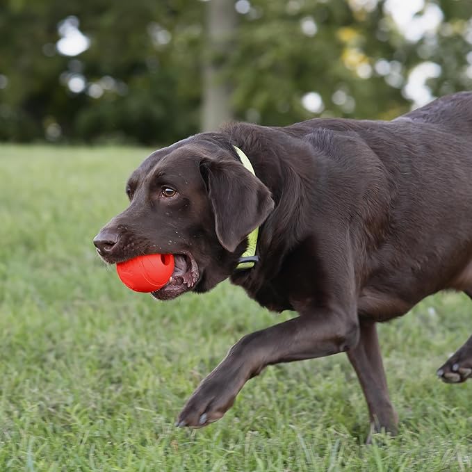 Chew King Flavored Rubber Ball Collection, 3 Inch Beef Flavor Rubber Balls 2-Pk