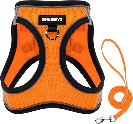 Dog Harness and Leash Set, Dog Harness for Dogs No Pull, No-Chock Step-in Reflective Breathable Lightweight Easy Walk Vest Harnesses with Safety Buckle for Small Medium Dogs, Cats (Orange, XXS)