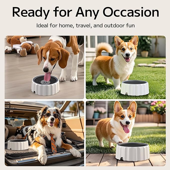 Dog Water Bowl 70oz/2L Large Capacity Water Dispenser No Spill Non Slip No Splash Pet Slow Feeder No Drip Vehicle Carried Travel Slow Drinking Bowl for Dogs Cat(Dark Grey)