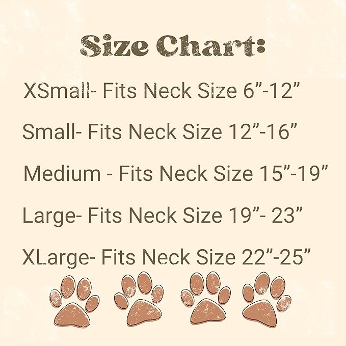 Big Bro Dog Bandana Pregnancy Announcement Baby Announcement to Grandparents (X-Small)