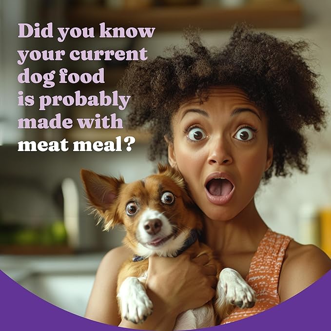 Halo Holistic Small Breed Dog Food, Cage Free Chicken & Sweet Potato Recipe, Grain Free Dry Dog Food, Complete Digestive Health, 3.5 lb Bag