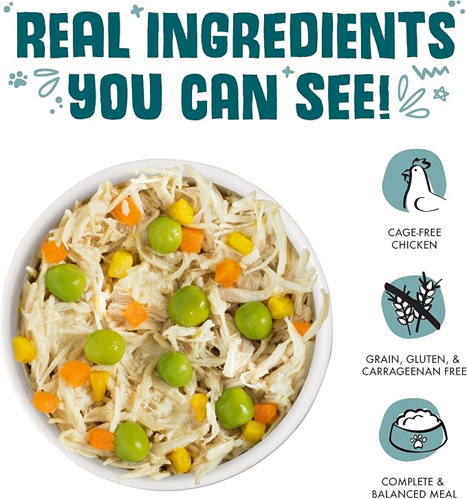 Weruva Classic Dog Food, Funky Chunky Chicken Soup with Chicken Breast & Pumpkin in Gravy, 14oz Can (Pack of 12)