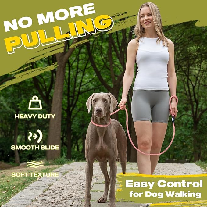 Fida Durable Slip Leads for Dogs, 6 FT x 1/2" Heavy Duty Dog Loop Leashes, Comfortable Strong Rope Slip Leash for Small Dogs and Puppies, No Pull Pet Training Lead with Highly Reflective(1/2", Pink)